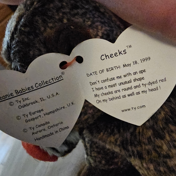 Cheeks the bambone - Picture 5 of 5